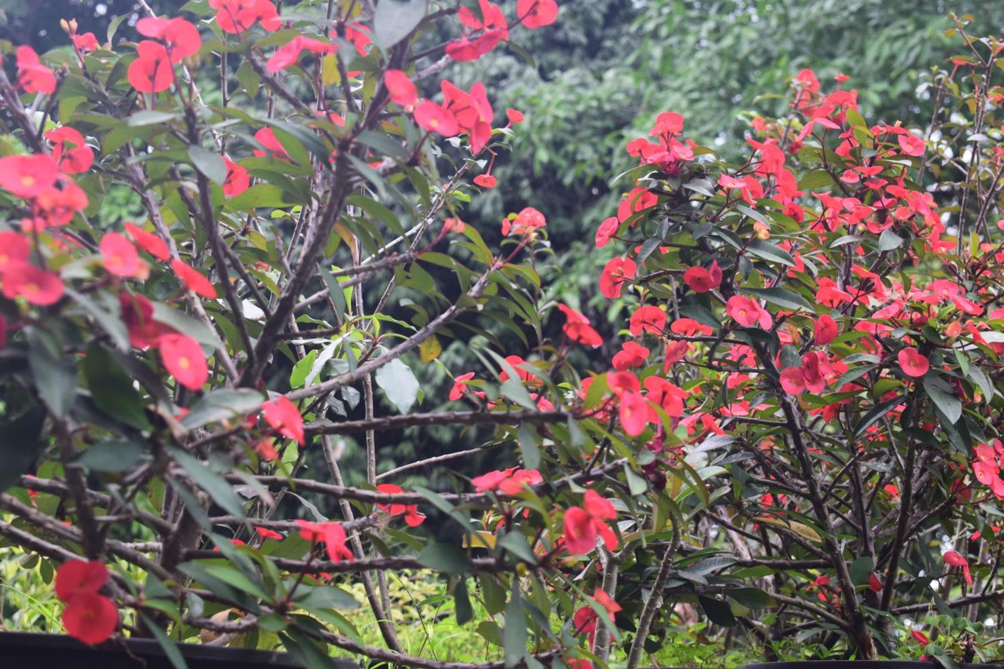 Namaya Nature Kandy Dış mekan fotoğraf